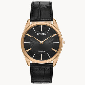 Citizen Eco Drive AR3073-06E Caballero