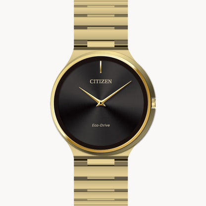 Citizen Eco Drive AR3112-57E Caballero